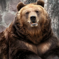 Илья Боровик, 30.05, Харьков