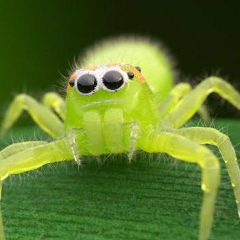 Алеся Шереметьева, 11.11, Санкт-Петербург