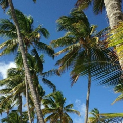 Мария Герман, 08.01.1991, Москва