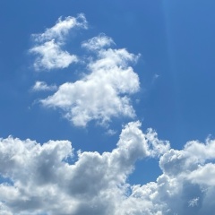 Асель Капарова, 12.10, Петропавловск