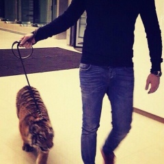 Дима Шин, 30.11, Chicago