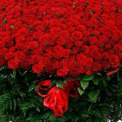 Бану Косжанова, 30.07.1987, Кызылорда