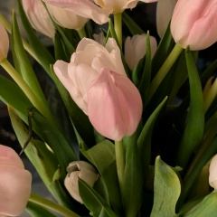 Света Малкова, 12.02.1982, Санкт-Петербург