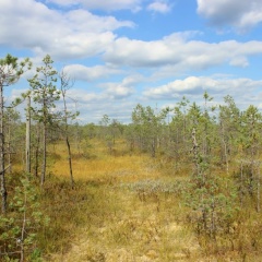 Елизавета Седельникова, 29.05, Санкт-Петербург