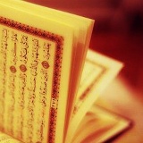 Ринас Север