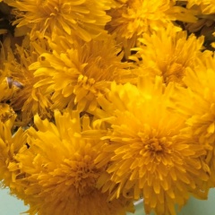 Сура Я, 04.07, Горно-Алтайск