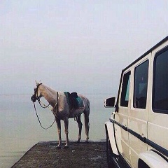 Арсен Нурмагомедов