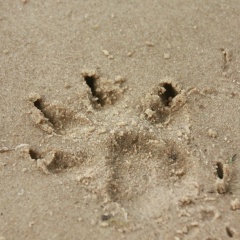 Ольга Беллер, 19.02, Санкт-Петербург