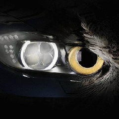 Александр Каминский, 27.01.1989, Запорожье