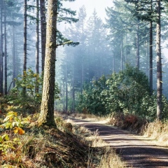 Ira Agarkova, 22.05, Одесса