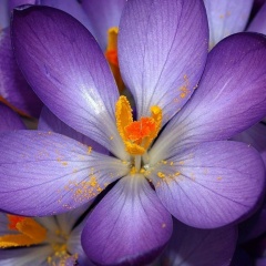 Николай Назаренко, 25.03, Харьков