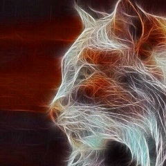 Владимир Большаков, 19.02.1986, Великий Новгород