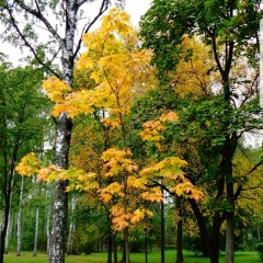 Жанна Агн, 01.10