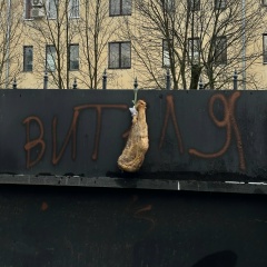 Виталий Цой, 17.07