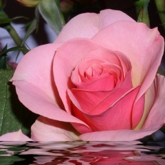 Ольга Калязина, 05.12, Санкт-Петербург