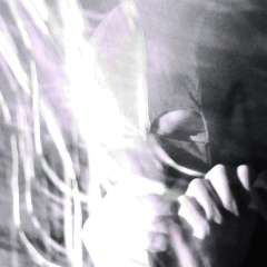 Станислас Милошевич, Beograd