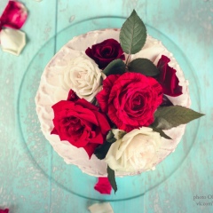 Анастасия Штульберг, 26.04, Черновцы