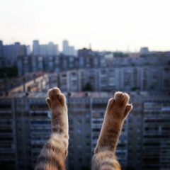 Елена Косарева, Ижевск