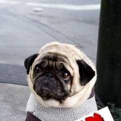 Галина Неверова, 23.05, Саратов