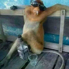 Kyaw-Kyaw Kyawkyaw, 16.02.2004