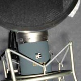 Анна Музыкина, Москва