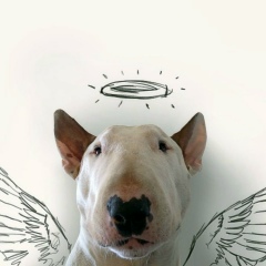 Андрей Кабаков, 14.07, Великий Устюг