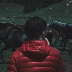 Михаил Романенко, 28.06.1988, Бишкек