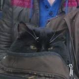 Андрей Сорцев, 05.09.1988, Москва