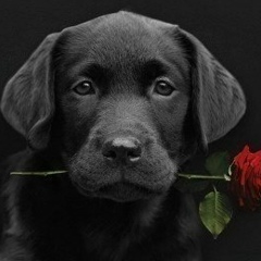 Денис Кондратенко, 27.04.1988, Минск