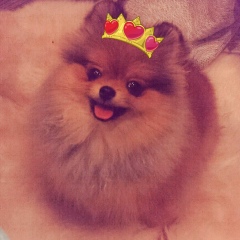 Катя Гайдаш, 05.12, Киев