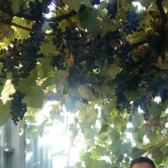 Александр Евгейчук, 06.08.1989, Норильск