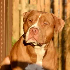 Светлана Медведева, 04.02, Санкт-Петербург