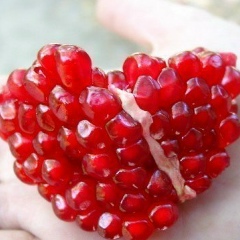 Анара Юсубова, 18.03, Москва