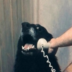 Елизавета Ярилина, 13.05