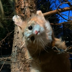 Ирина Ридаль, 09.10, Петрозаводск