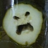 Максим Королёв, 26.01.1983, Нижневартовск