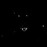 Shamil Lorsanov, 23.06.1995, Грозный