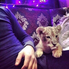 Мамед Турсунов, 28.07, Алматы