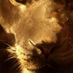 Даурен Нагашыбай, 14.08.1984, Алматы