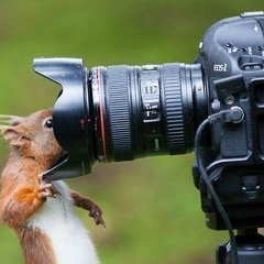 Наталия Природная, Санкт-Петербург