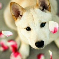 Ирочка Сушкова, 02.01.1980