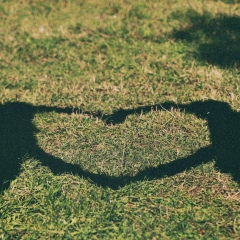 Anzo Ke, Санкт-Петербург