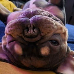 Ольга Трубецкая, 10.05.2007, Санкт-Петербург