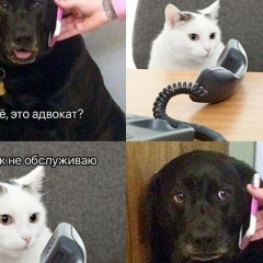 Улугкбек Хамракулов