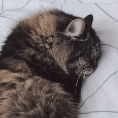 Бешеный Огурец, 17.09.1994, Астрахань