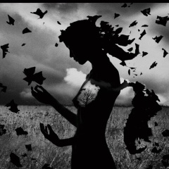 Селина Элизабет Картрайт, Ереван