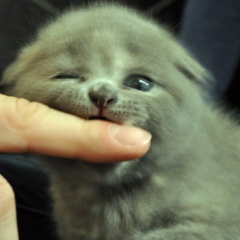 Marina Sibach, 05.09, Nürnberg