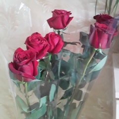 Рахметова Нургуль, 22.01, Караганда