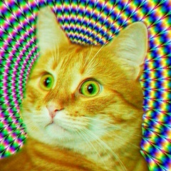 Владимир Беляев, 05.07, Хабаровск