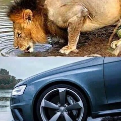 Коля Калиев, 05.12.1979, Алматы